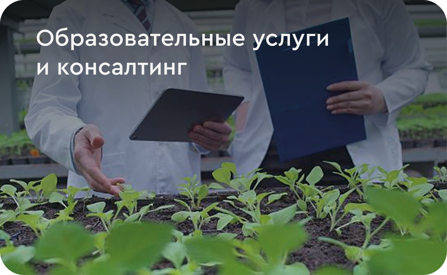 услуги на сайт5