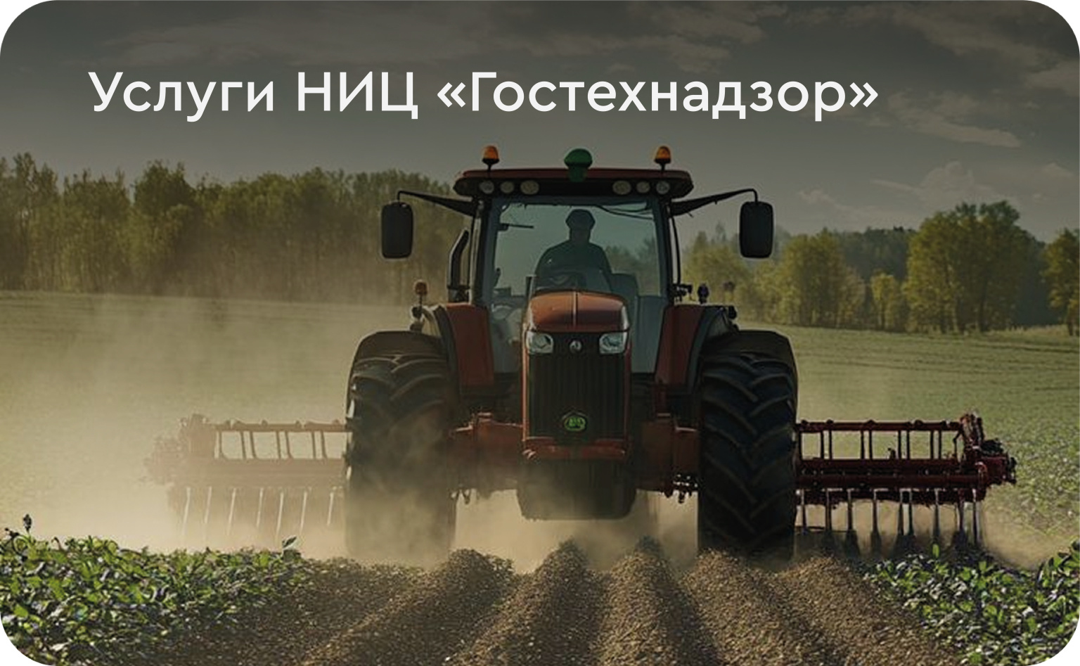 услуги на сайт4